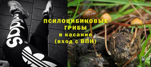 СК Магас